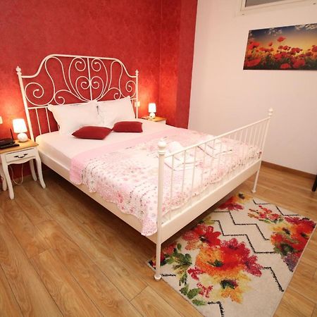 Flowers Apartments Temešvár Exteriér fotografie