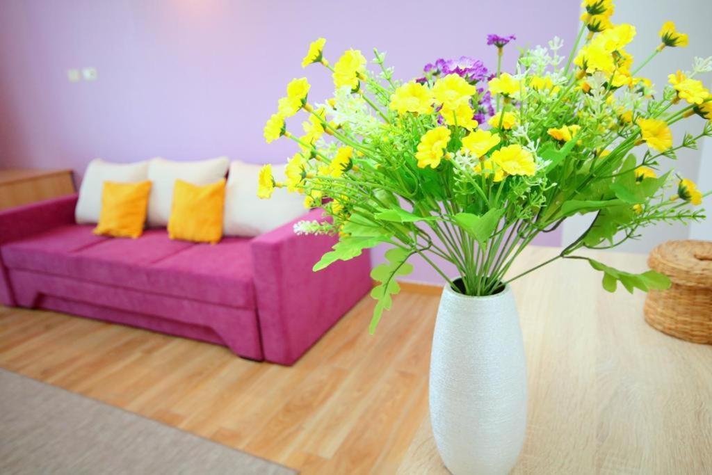 Flowers Apartments Temešvár Exteriér fotografie