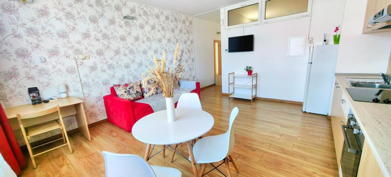 Flowers Apartments Temešvár Exteriér fotografie